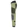 Artemis Pant