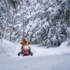 Allied Insulated Jacket